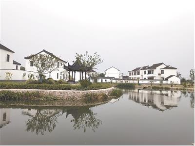 Wushentan Village, bacheng town City, Kunshan City, creates a water town with "black tiles and white walls, clear and refreshing". Photo by Wu Qiong